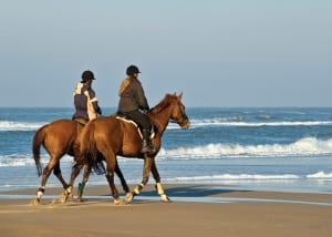 Castleview Equestrian Loughros Point Ardara